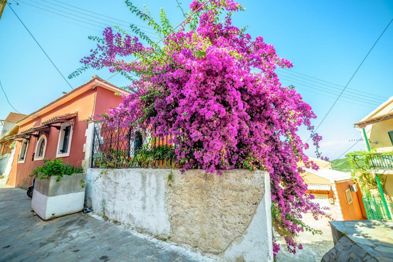Menecrates Rustic - San Matteo Apartment Agios Matthaios  Ngoại thất bức ảnh